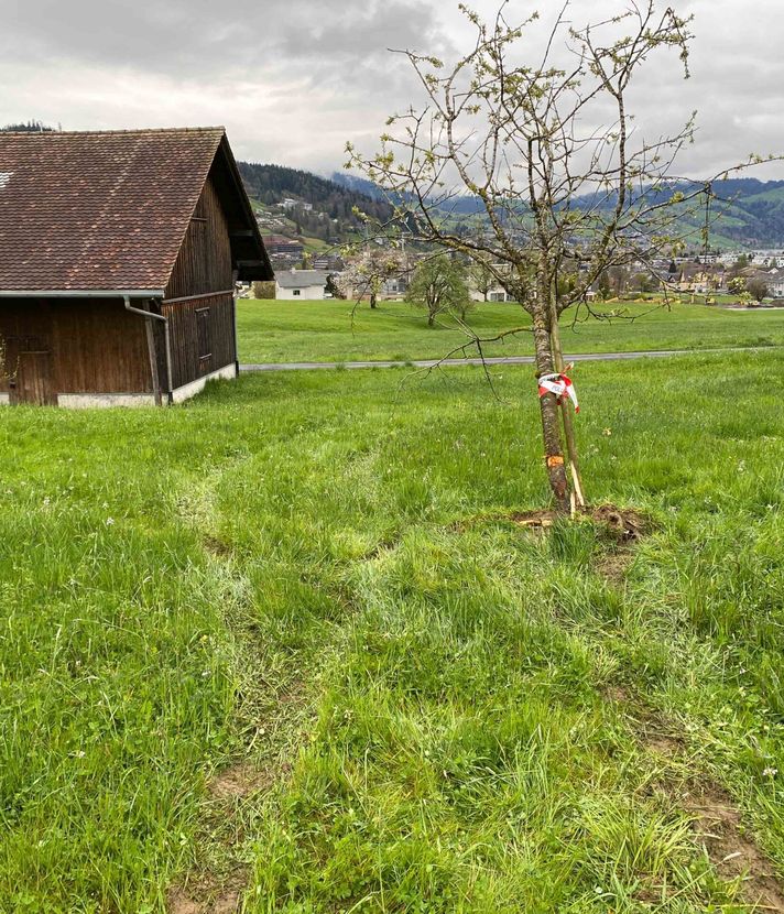 Blaulicht ignoriert – dann flüchtet er übers Feld