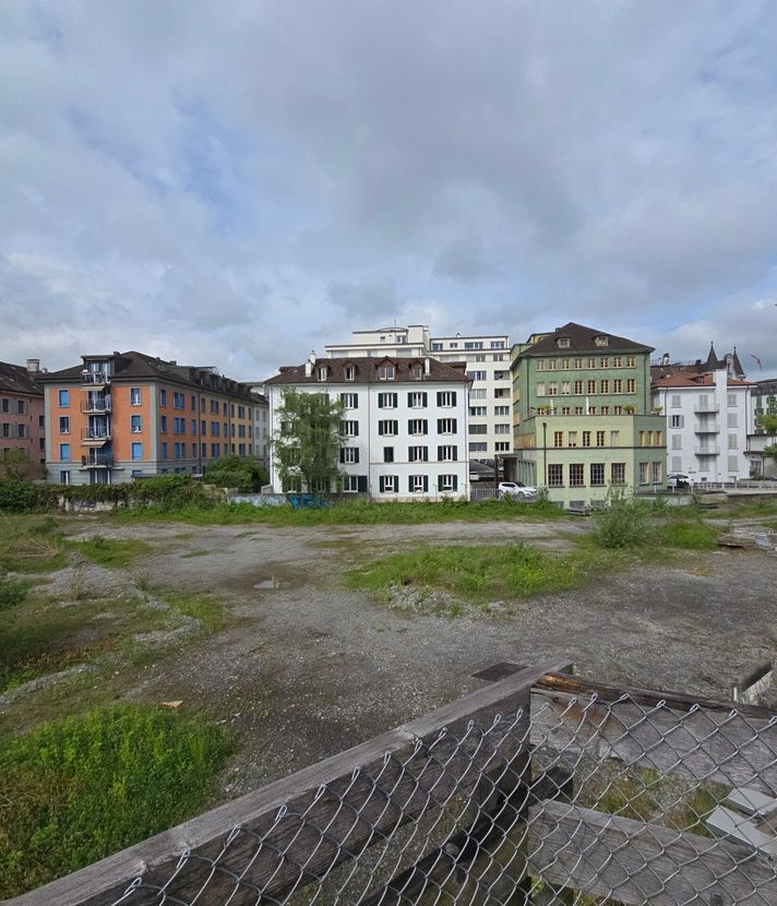 Luzerns berühmteste Brache verliert ihre Profile – wieso?