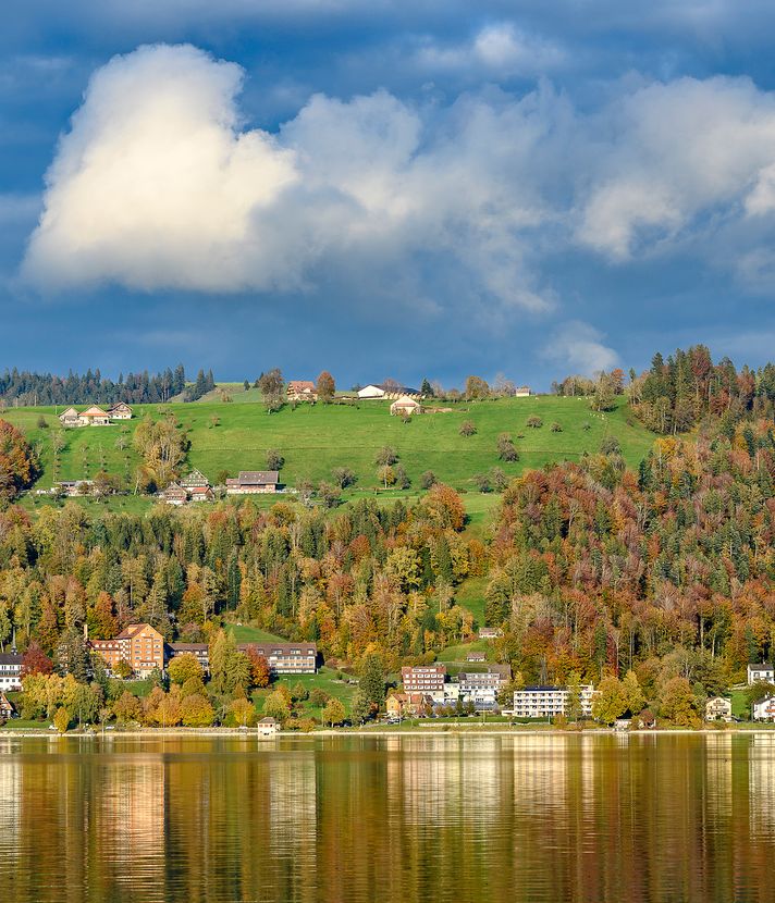 Zug verschärft Massnahmen gegen Quaggamuschel