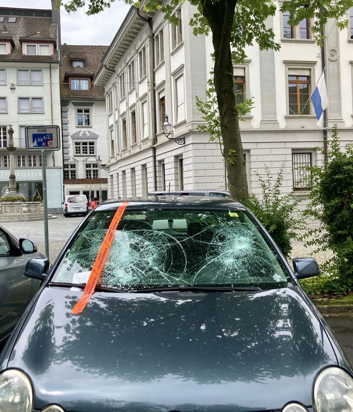 Person schlägt Scheiben von mehreren Autos ein