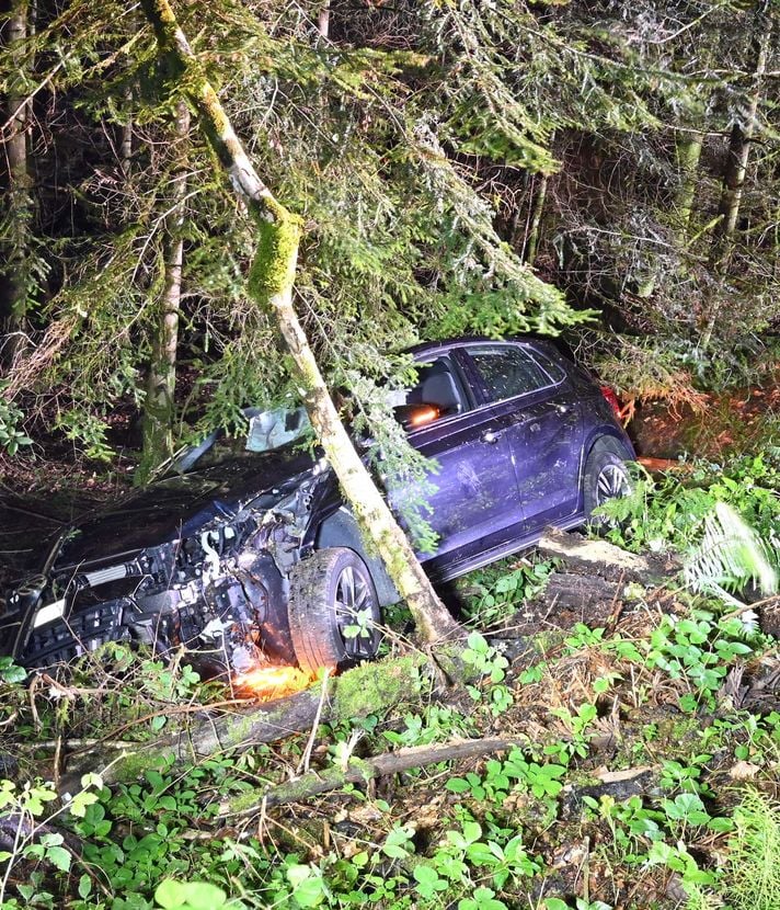 Auto kommt von Strasse ab und kollidiert mit Baum