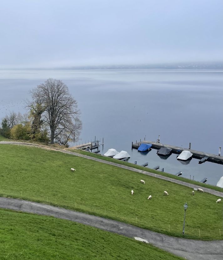 Badi und Beiz: Risch stimmt besonderem Landkauf zu