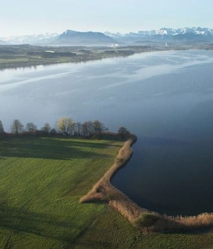Baldeggersee: Neuigkeiten zum Rundweg erfreuen Seetaler