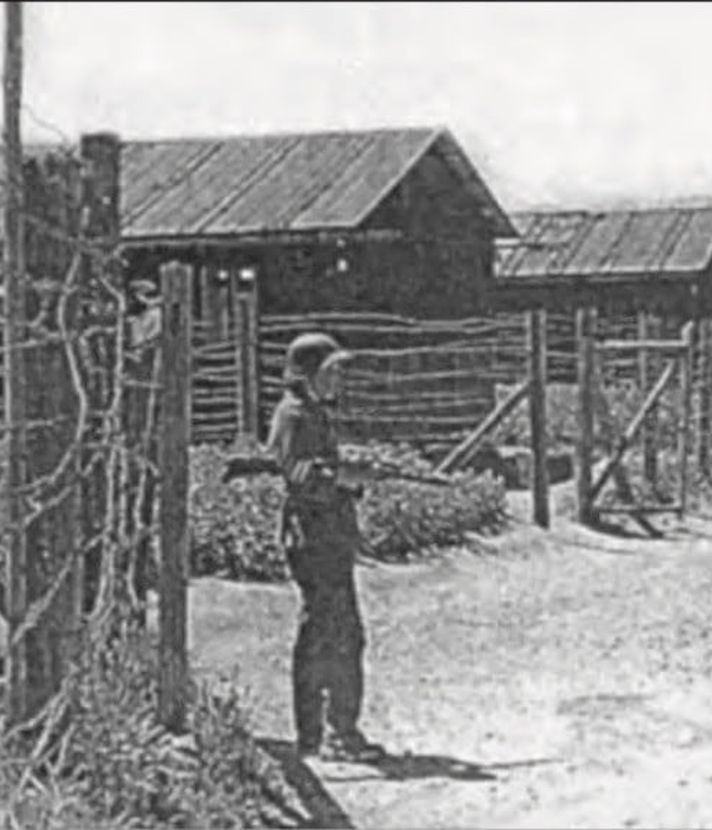 Wauwilermoos: Hungern im «Schweizer Konzentrationslager»