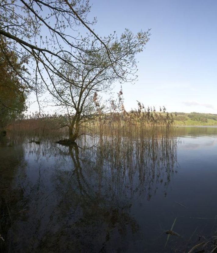 Entwurf schlägt Enteignung des Baldeggersees vor