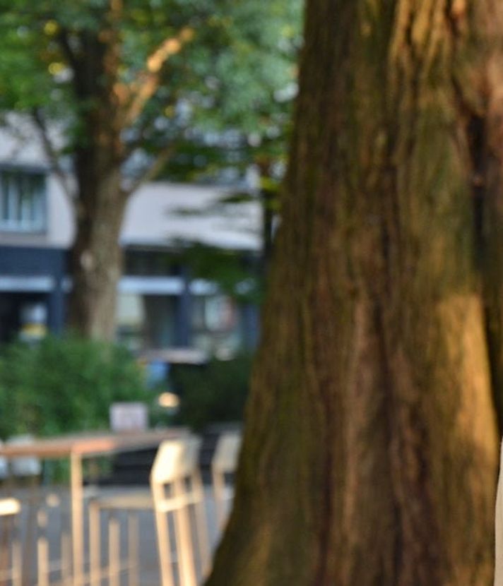 Missionare auf Luzerns Strassenstrich aktiv