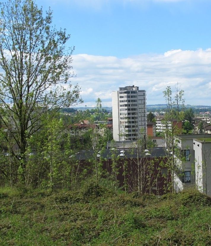Heizen im grossen Stil