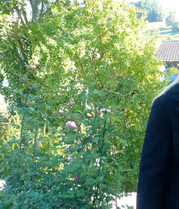 «Die Narbe bleibt, die Wunde ist geschlossen»
