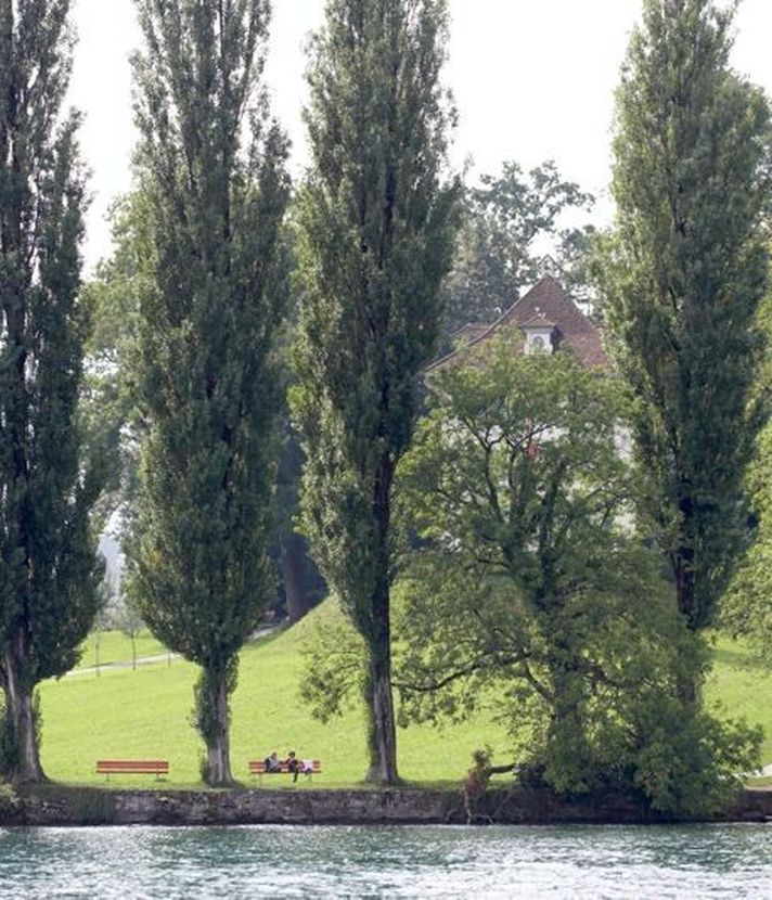 Picknicker machen Luzerner Stadtgärtnerei das Leben schwer
