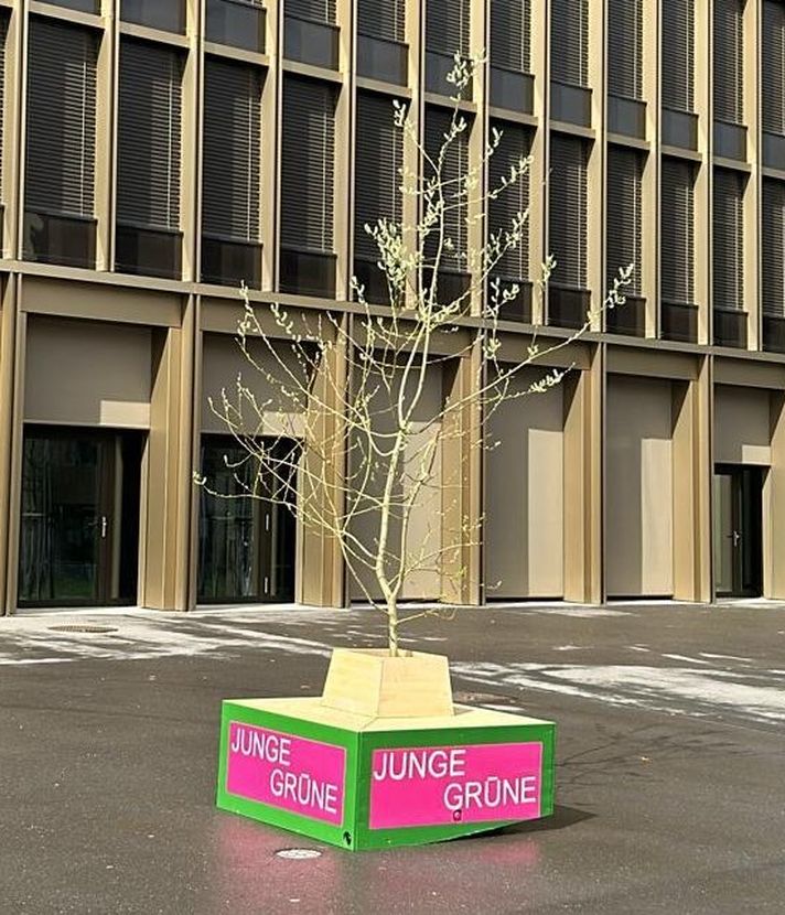 Krienser Jungpartei stellt Baum auf Stadtplatz