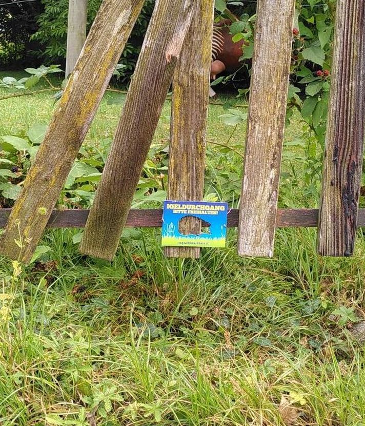 Zuger sollen kleinen Wildtieren helfen