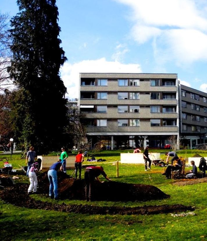 Urban Gardening in Luzern