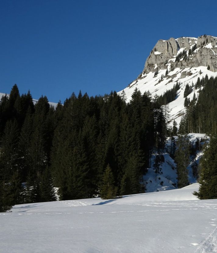 Sulzschneespass in der Schratteflue bei Sörenberg