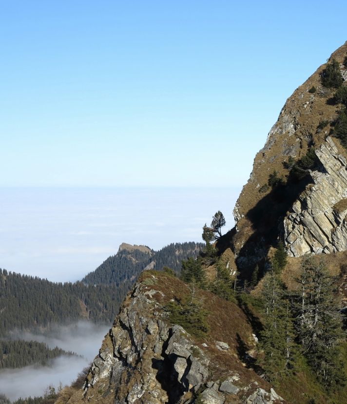 Von der Lütholdsmatt über die Stäfeliflue am Pilatus