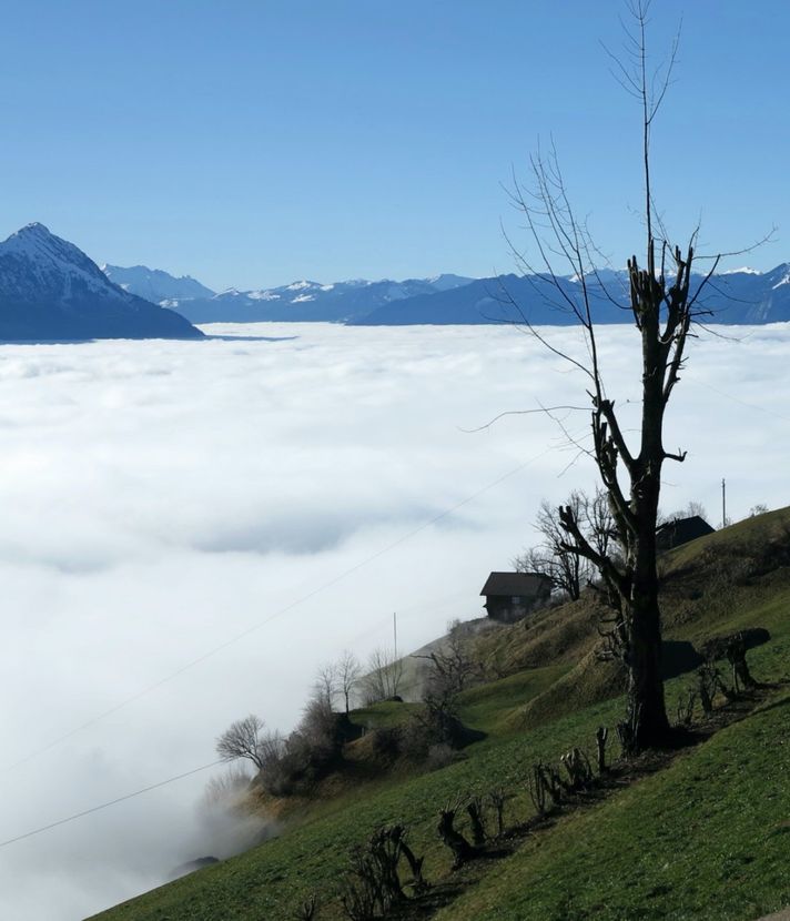 Grenzüberschreitungen am Rigi-Südhang