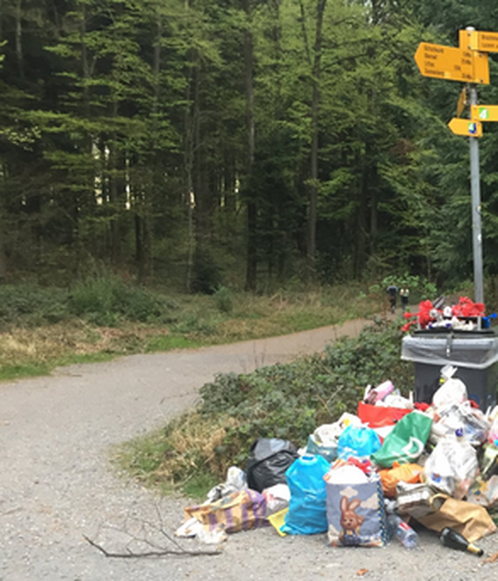 Gütschwald: Wilde Feuerstellen und Menschenkot hinter den Bäumen