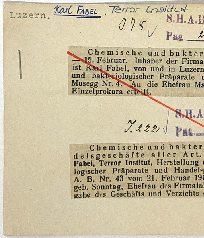 Das «Terror Institut» in Luzern: Giftgas oder Ameisenpulver?