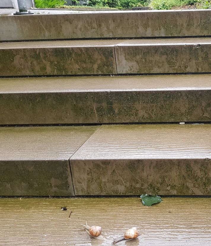 Oh du schöner Herbst, ich habe dir Unrecht getan