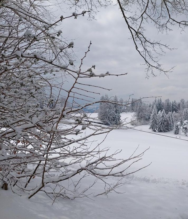 So schön ist das Winter-Comeback in Zug