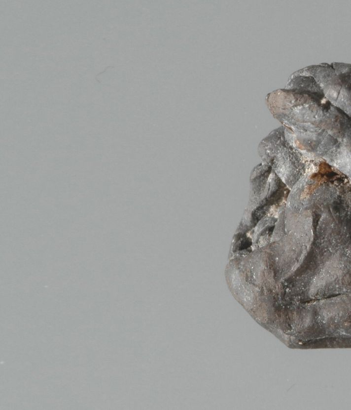 Welche Geheimnisse ein 6000 Jahre alter Kaugummi hütet