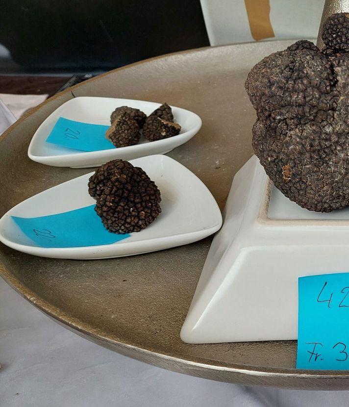 «Ich habe heute mehr als 700g weissen Trüffel verkauft»