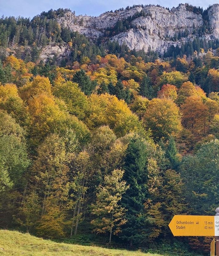 Diethelm: Eine Wanderung, die glücklich macht. Trotz allem