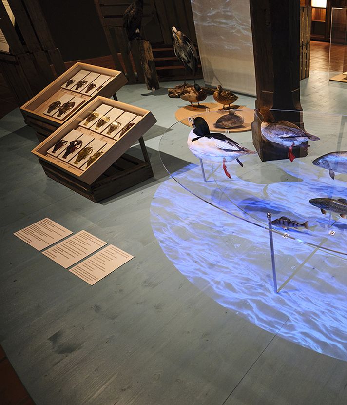Mit dieser Ausstellung feiert Luzern seinen Geburtstag