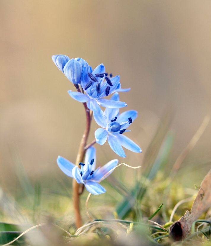 9 Bilder, um dich auf den Frühling einzustimmen