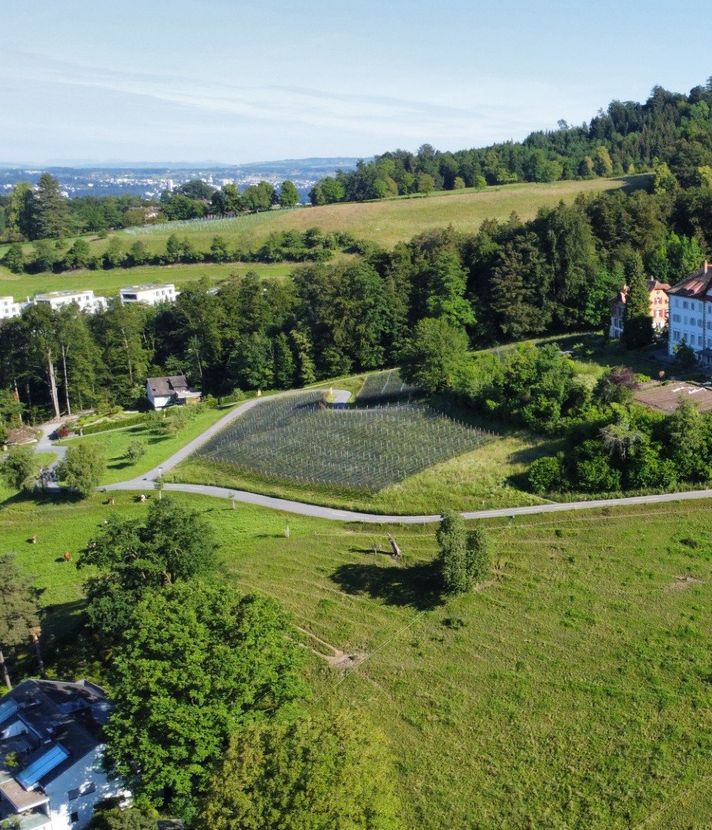 Ein Tag auf dem Seeburghof über dem Vierwaldstättersee
