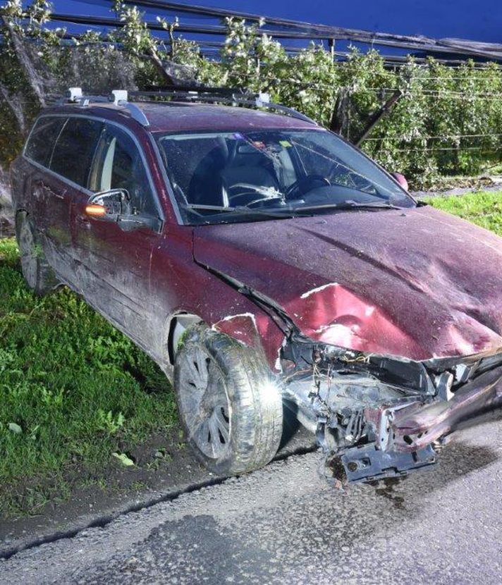 Ermensee: 51-Jähriger fährt mit Auto in Obstplantage
