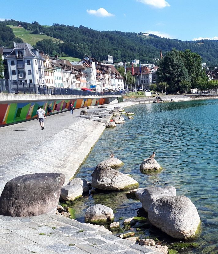 Hier könnte bald ein neuer Steg über den See führen