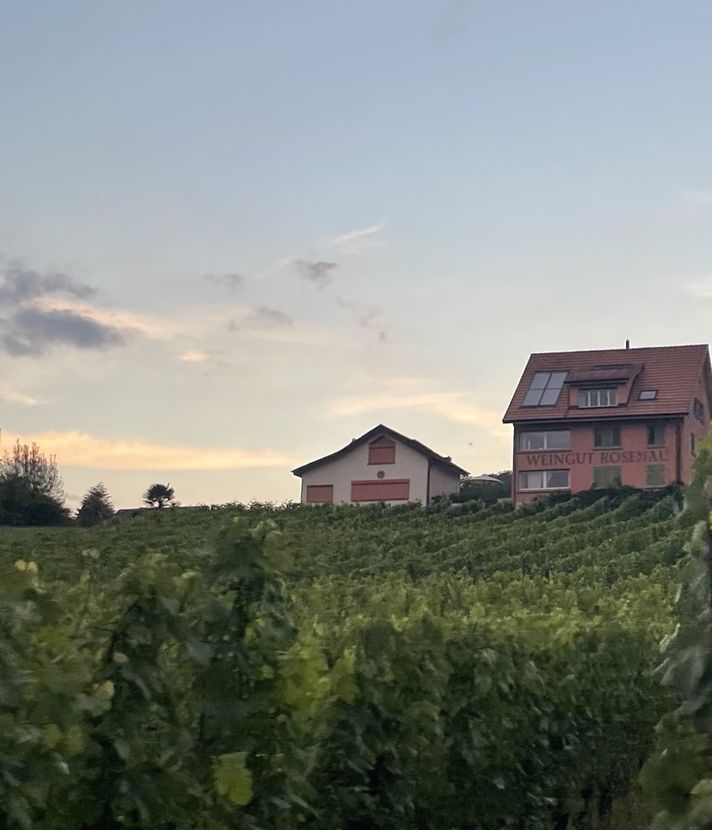 Das Luzerner Weinjahr könnte zu einer Seltenheit werden