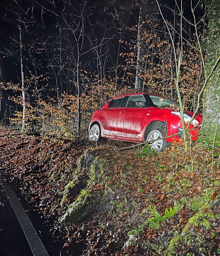 Mit über zwei Promille in Baum gebrettert