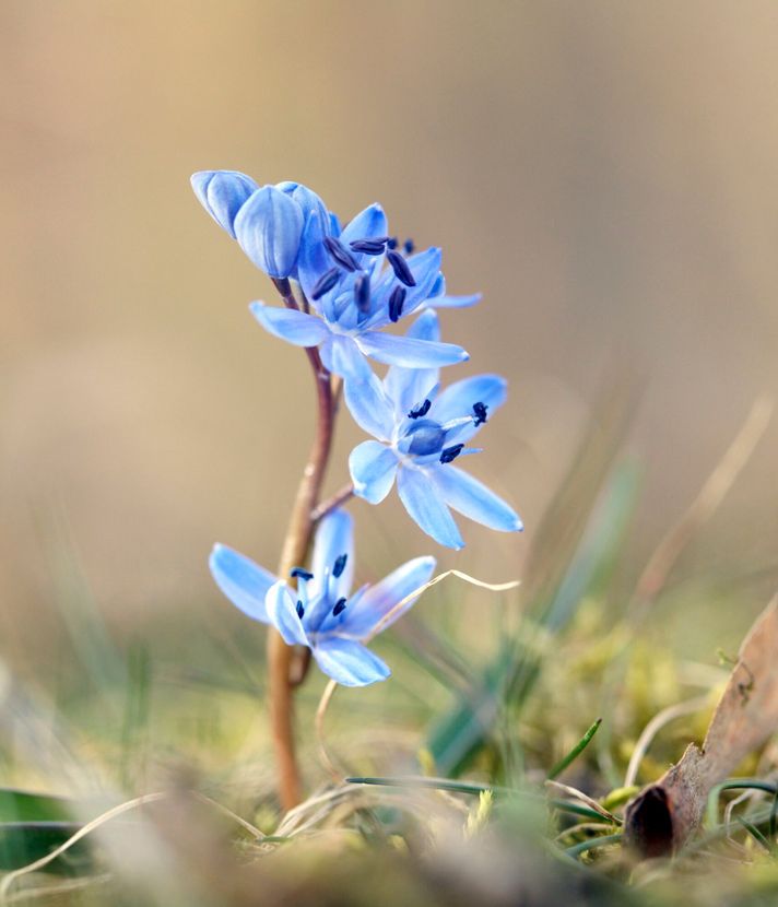 9 Bilder, um dich auf den Frühling einzustimmen