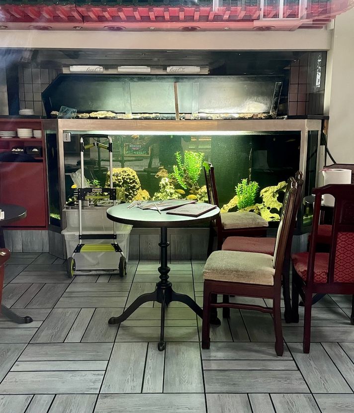 Restaurant versiegelt – Wer sorgt sich um die Fische?