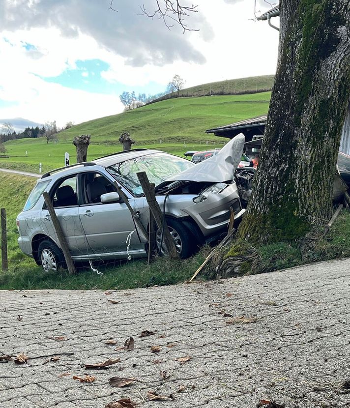 Schwarzenberg: Auto kracht in Baum – Fahrer verletzt
