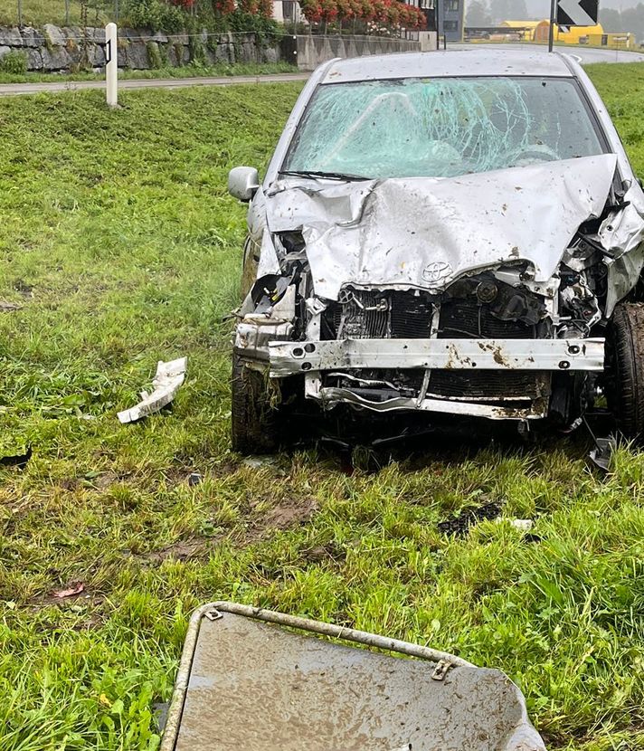 Auto fährt in Kuhherde – zwei Tiere tot