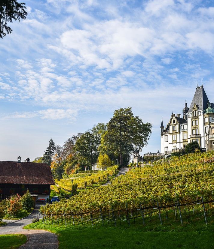 Dieser Luzerner Touristen-Hotspot bekommt Parkaufsicht