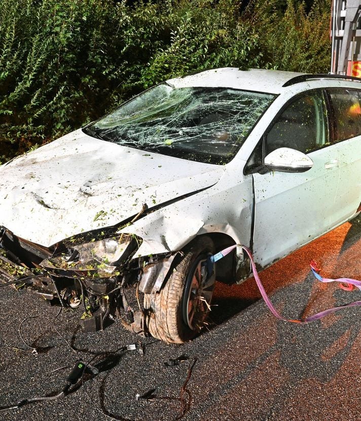 Autofahrer landet mit zwei Promille im Dickicht