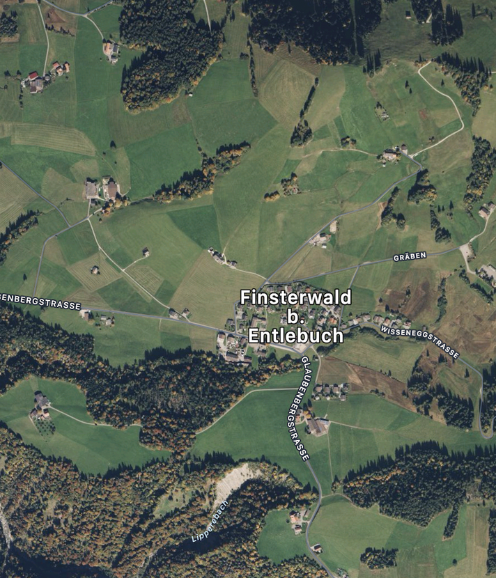 Forstarbeiter nach Unfall in Finsterwald verstorben