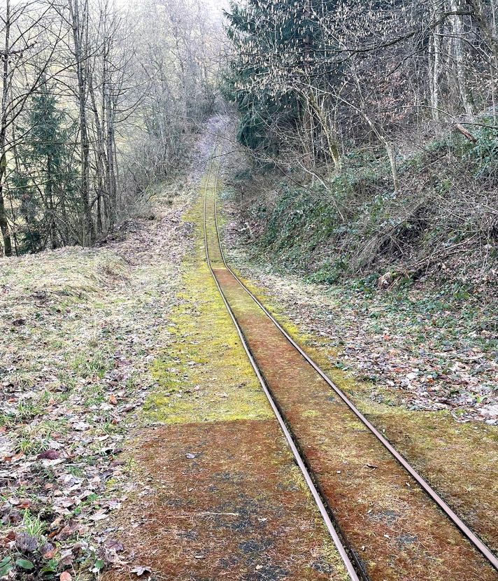 Was hinter diesen Schienen im Baarer Wäldchen steckt