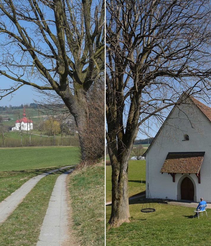 Kapellenweg in Luzern soll zum Erlebnispfad werden