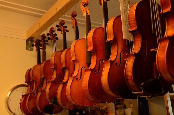 Der Himmel hängt voller Geigen: Micha Sennhauser repariert in seiner Werkstatt Streichinstrumente unterschiedlicher Grösse, vor allem aber Geigen, Bratschen und Celli.