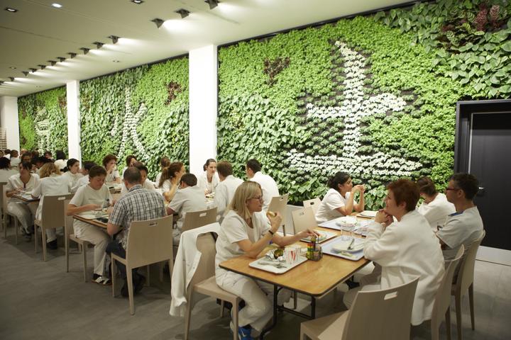Eine Besonderheit des Restaurants ist die Pflanzenwand, die automatisch bewässert wird.