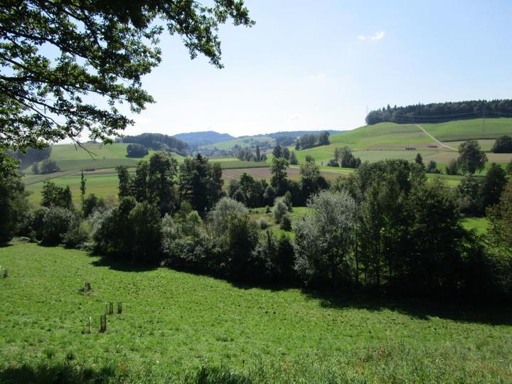 Blick von oben auf den Aeschweiher auf Luzerner Kantonsgebiet, im Hintergrund liegt die Berner Gemeinde Melchnau.