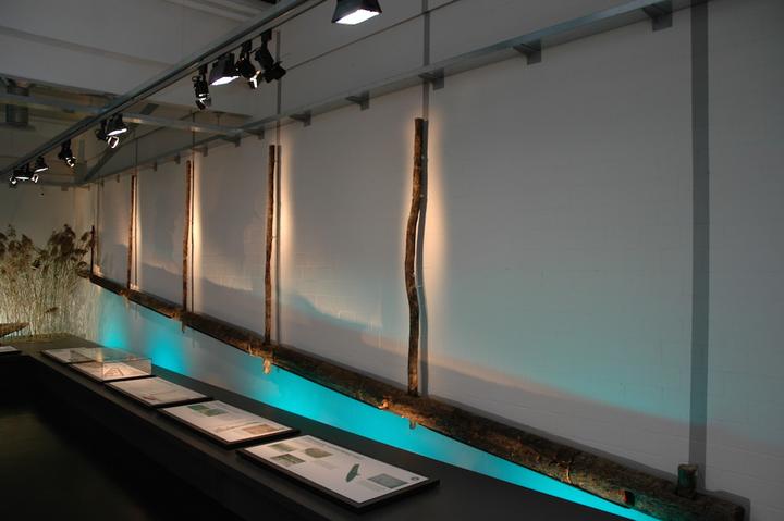 Teile der riesigen Holztrapeze aus Steinhausen-Chollerpark waren im Museum für Urgeschichte(n) Zug ausgestellt. Die Objekte sind so gross, dass sie nicht komplett Platz in der Ausstellung fanden.