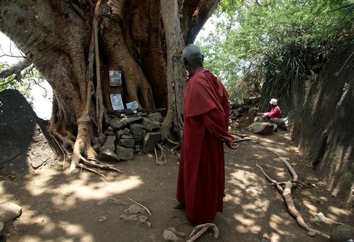 02 Der heilige Baum von Gwassi, Kenia, der von Kranken aus ganz Afrika aufgesucht wird. (Bild: Kurt Lussi)