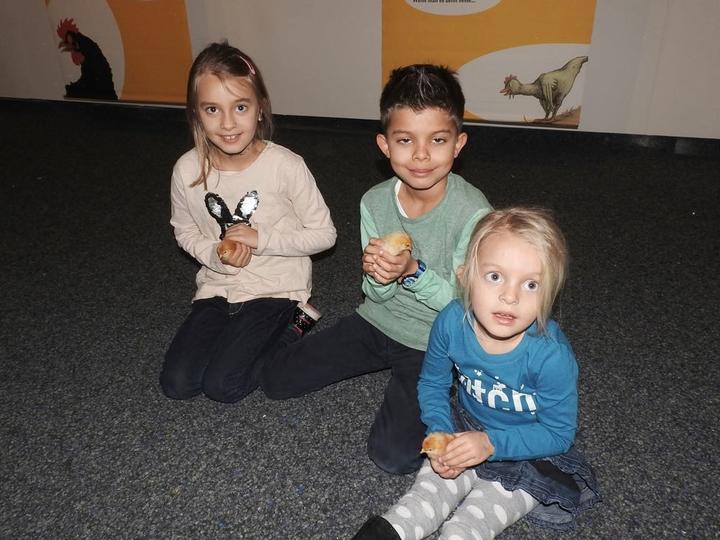 Jasmin, Elias und Eva (v.l.) sind bereits zum dritten Mal im Natur-Museum Luzern.