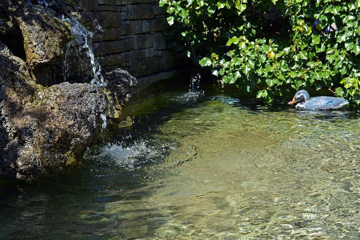 Teich im neuen Garten: Die Enten sind aus Plastik.