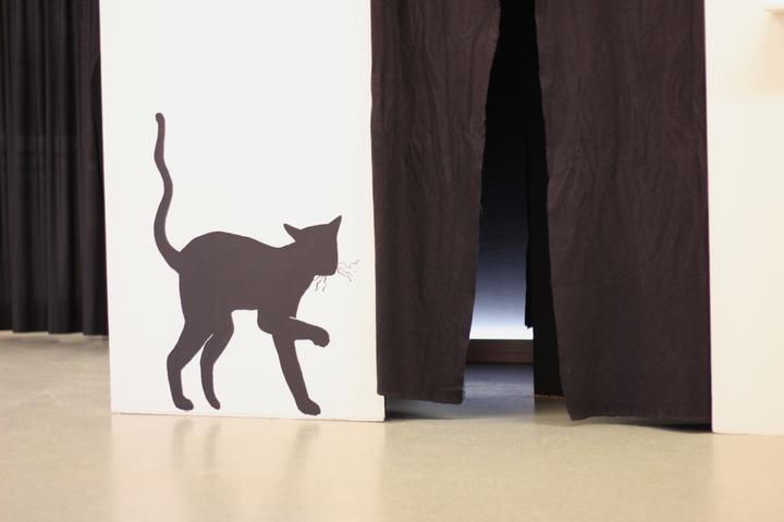<p>«The Black Cat» tauft Wolfgang Wiler vom Bachelor-Studiengang Illustration Fiction sein Werk.</p>